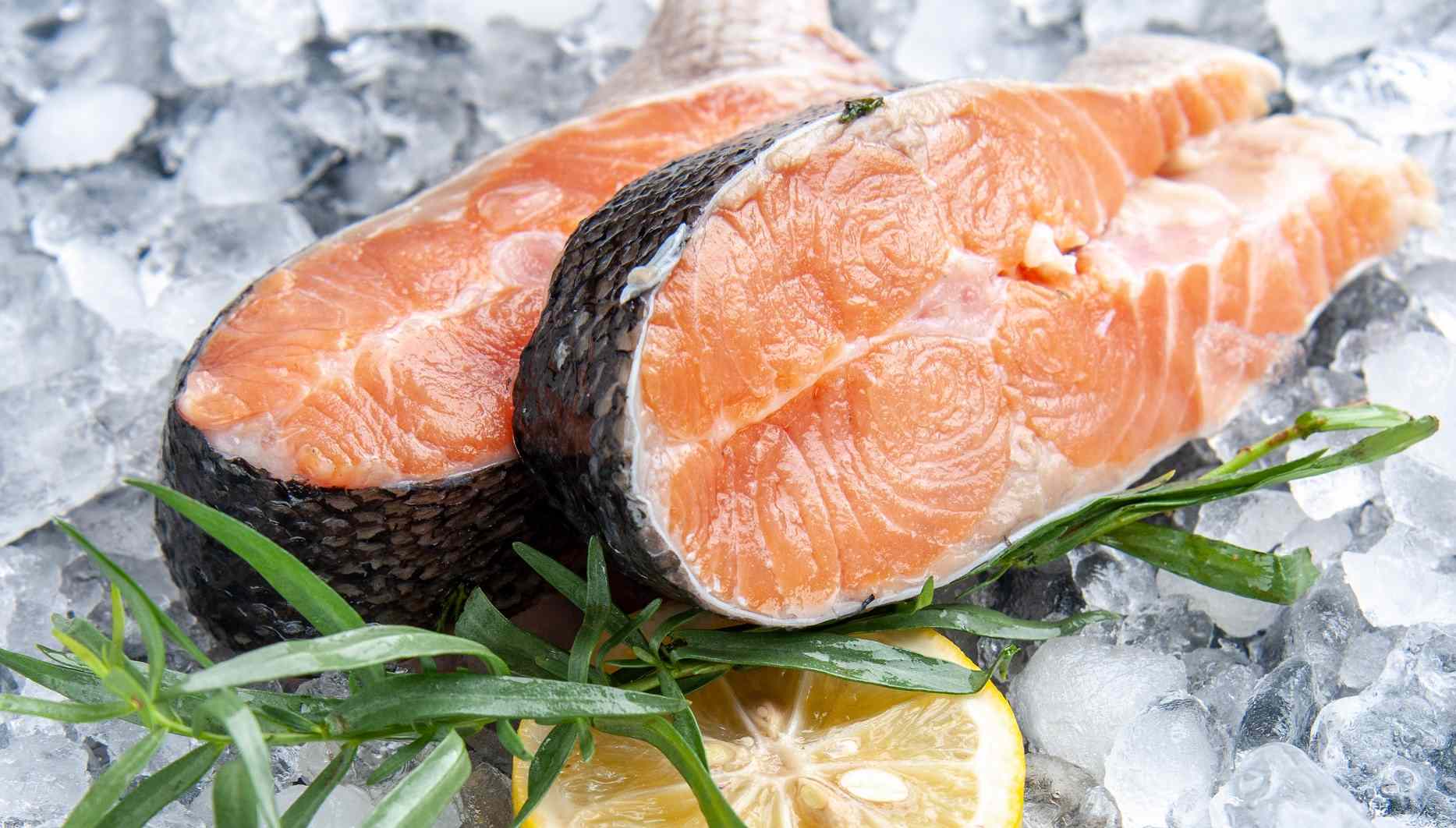 Salmon on ice with lemon and rosemary